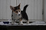 IMG_3675.jpg