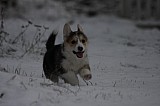 IMG_3678.jpg