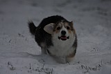 IMG_3680.jpg