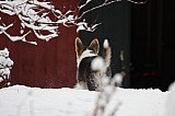 IMG_3690.jpg