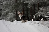 IMG_3691.jpg