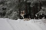 IMG_3692.jpg