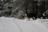 IMG_3694.jpg