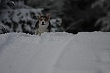 IMG_3699.jpg