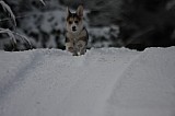 IMG_3700.jpg