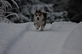IMG_3701.jpg