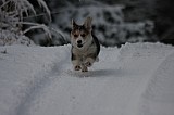 IMG_3702.jpg