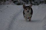 IMG_3704.jpg