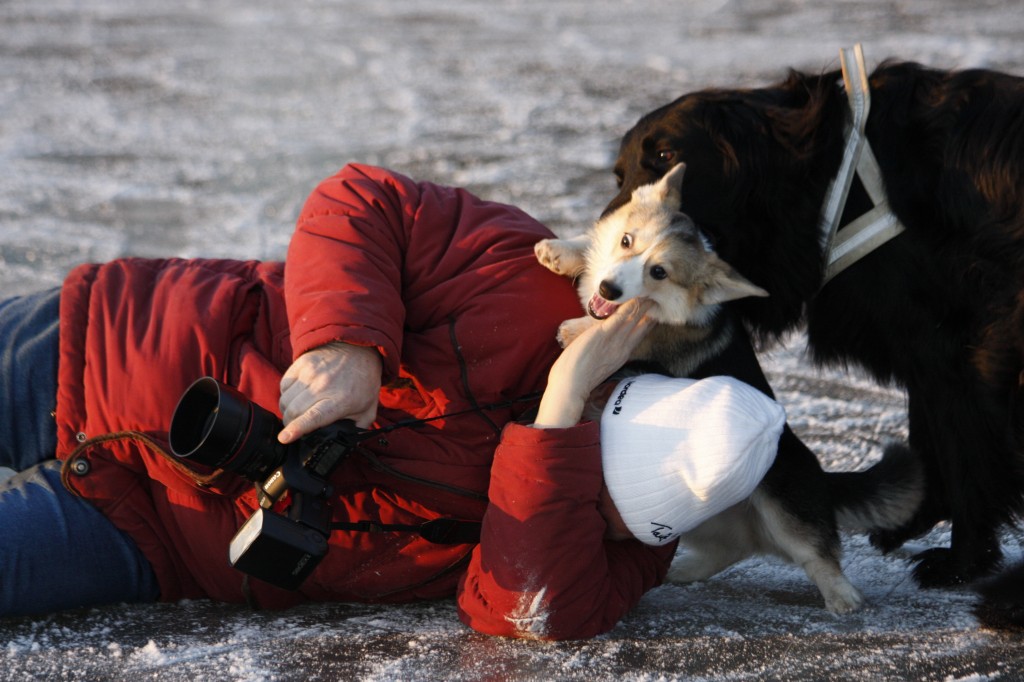 _MG_6329.jpg