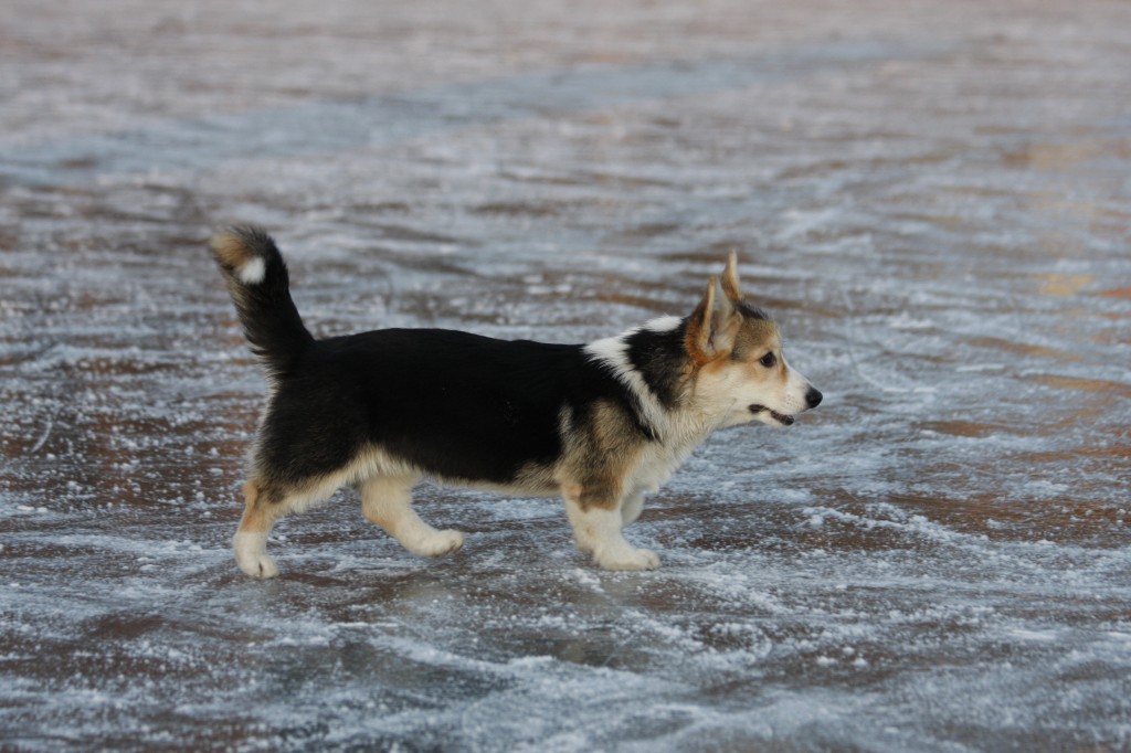 _MG_6356.jpg