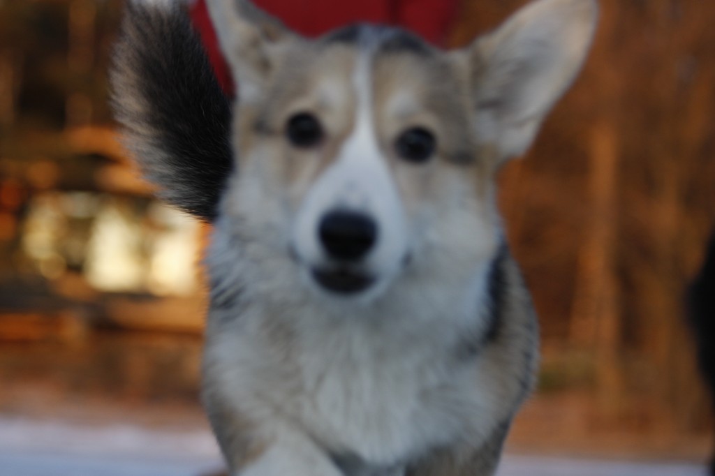 _MG_6360.jpg
