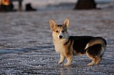 _MG_6339.jpg