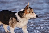 _MG_6350.jpg