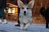 _MG_6358.jpg