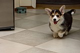 IMG_2944.jpg