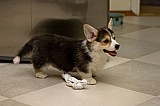 IMG_2948.jpg