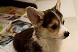 IMG_2950.jpg