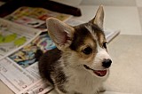 IMG_2954.jpg