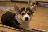 IMG_2963.jpg