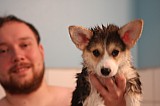 IMG_3262.jpg