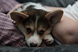 IMG_3275.jpg