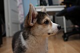 IMG_3283.jpg