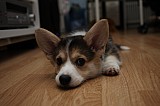 IMG_3285.jpg