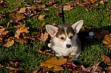IMG_3045.jpg