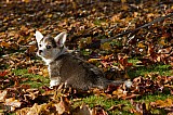 IMG_3058.jpg