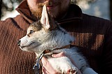 IMG_3062.jpg