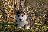IMG_2991.jpg