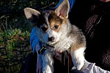 IMG_2994.jpg
