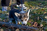 IMG_3000.jpg